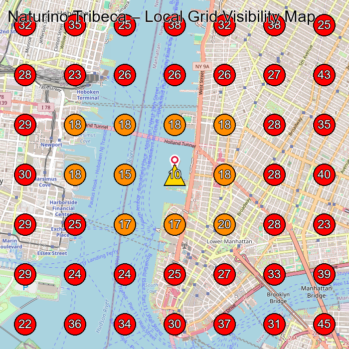 Naturino Tribeca GeoGrid visibility map for Shoe Store in Brooklyn